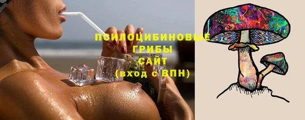 спайс Вяземский