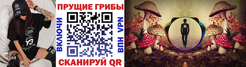hydra как войти Махачкала Псилоцибиновые грибы ЛСД